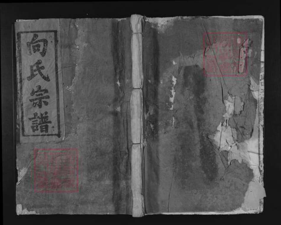 江西省赣州市宁都县向氏河内堂族谱-向氏甲子家谱.pdf电子版缩略图