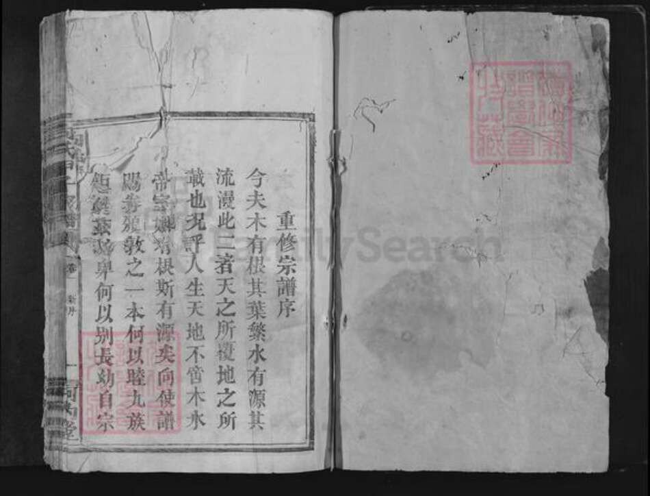 江西省赣州市宁都县向氏河内堂族谱-向氏甲子家谱.pdf电子版预览图1