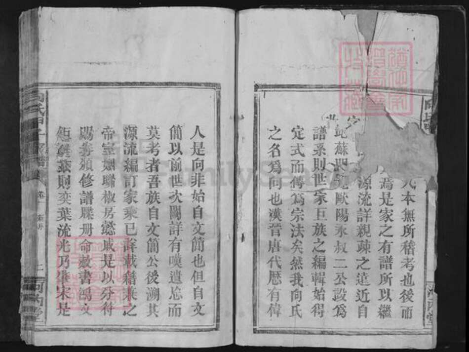 江西省赣州市宁都县向氏河内堂族谱-向氏甲子家谱.pdf电子版预览图2