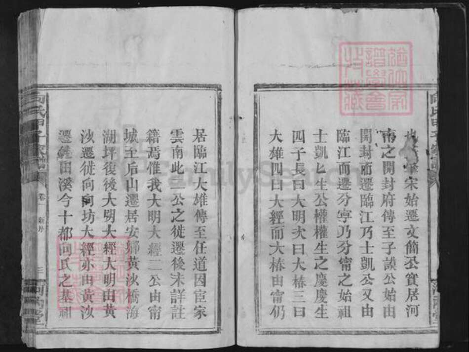 江西省赣州市宁都县向氏河内堂族谱-向氏甲子家谱.pdf电子版预览图3