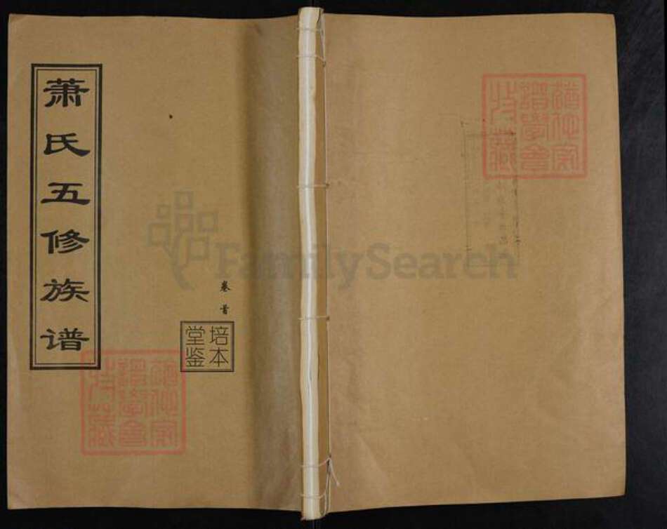 湖南省衡阳市衡南县洪山镇萧氏培本堂族谱-湘东上溪萧氏五修族谱.pdf电子版缩略图