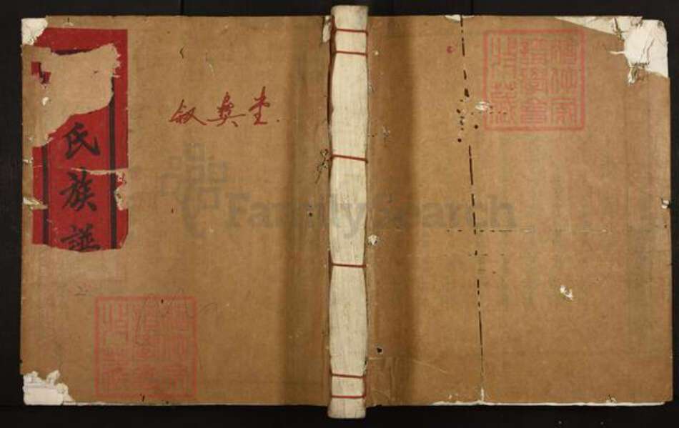 江西省吉安市泰和市禾市镇萧氏叙彝堂族谱-信丰叙彝堂萧氏七修族谱.pdf电子版缩略图