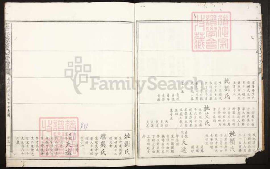 江西省吉安市泰和市禾市镇萧氏叙彝堂族谱-信丰叙彝堂萧氏七修族谱.pdf电子版预览图2