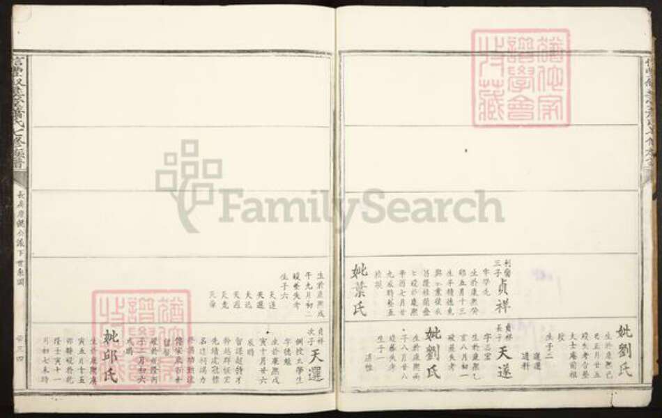 江西省吉安市泰和市禾市镇萧氏叙彝堂族谱-信丰叙彝堂萧氏七修族谱.pdf电子版预览图5