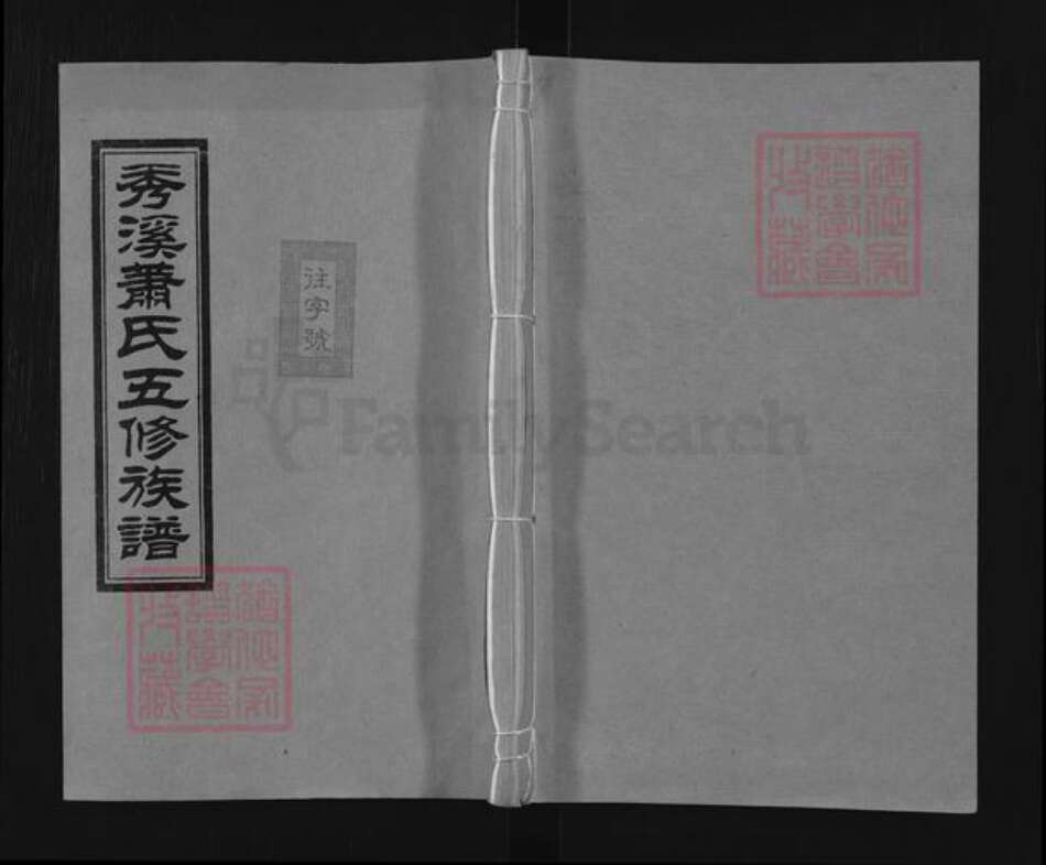 湖南省娄底市涟源市涟源萧氏敦本堂族谱-秀溪萧氏五修族谱.pdf电子版缩略图