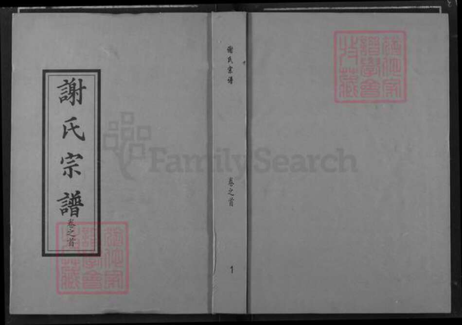 湖北省武汉市新洲区谢氏宝树堂族谱-谢氏宗谱.pdf电子版缩略图