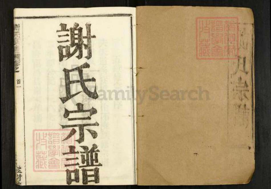 湖北省黄冈市黄州区谢氏宝树堂族谱-谢氏宗谱.pdf电子版预览图1