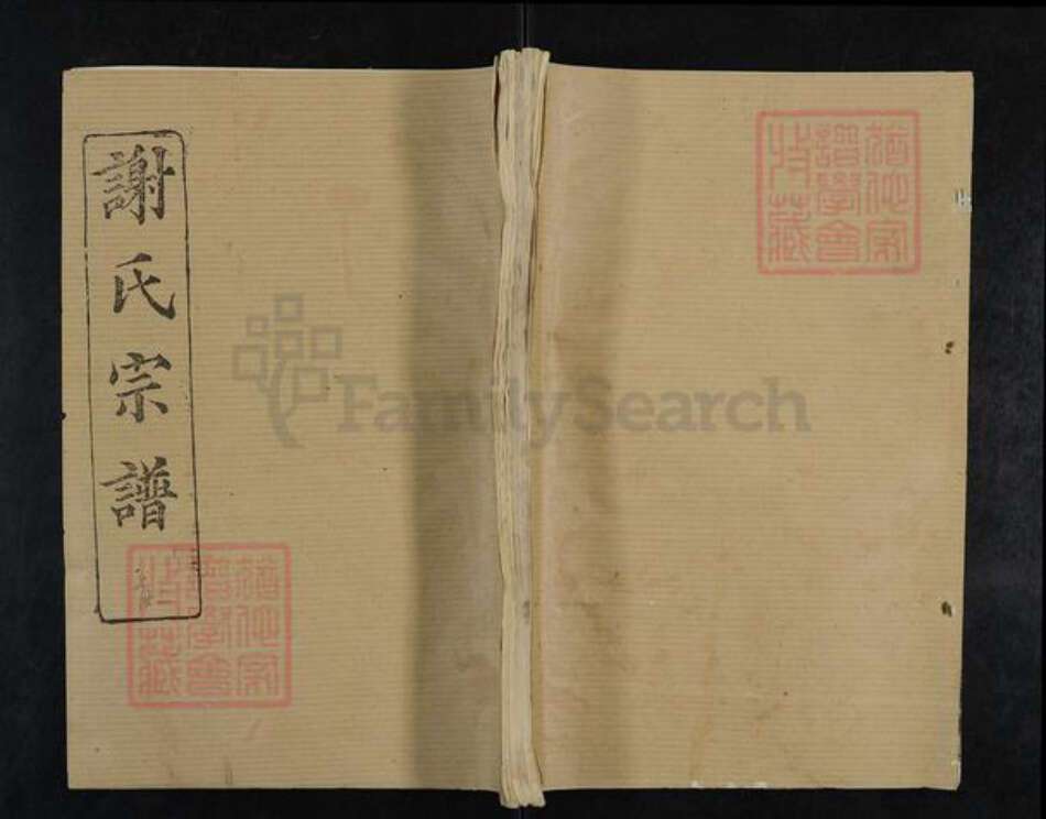 湖北省武汉市新洲区谢氏三传堂族谱-谢氏宗谱.pdf电子版缩略图