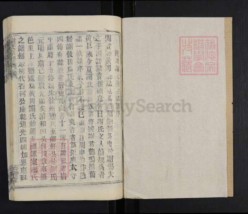 湖北省武汉市新洲区谢氏三传堂族谱-谢氏宗谱.pdf电子版预览图1