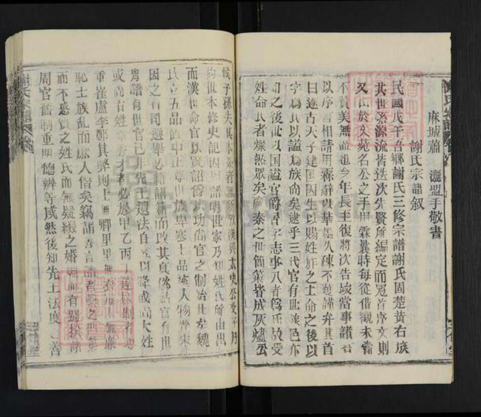 湖北省武汉市新洲区谢氏三传堂族谱-谢氏宗谱.pdf电子版预览图3