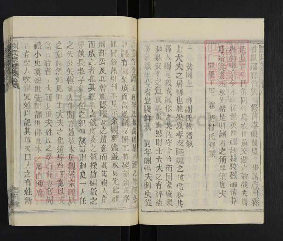 湖北省武汉市新洲区谢氏三传堂族谱-谢氏宗谱.pdf电子版预览图5