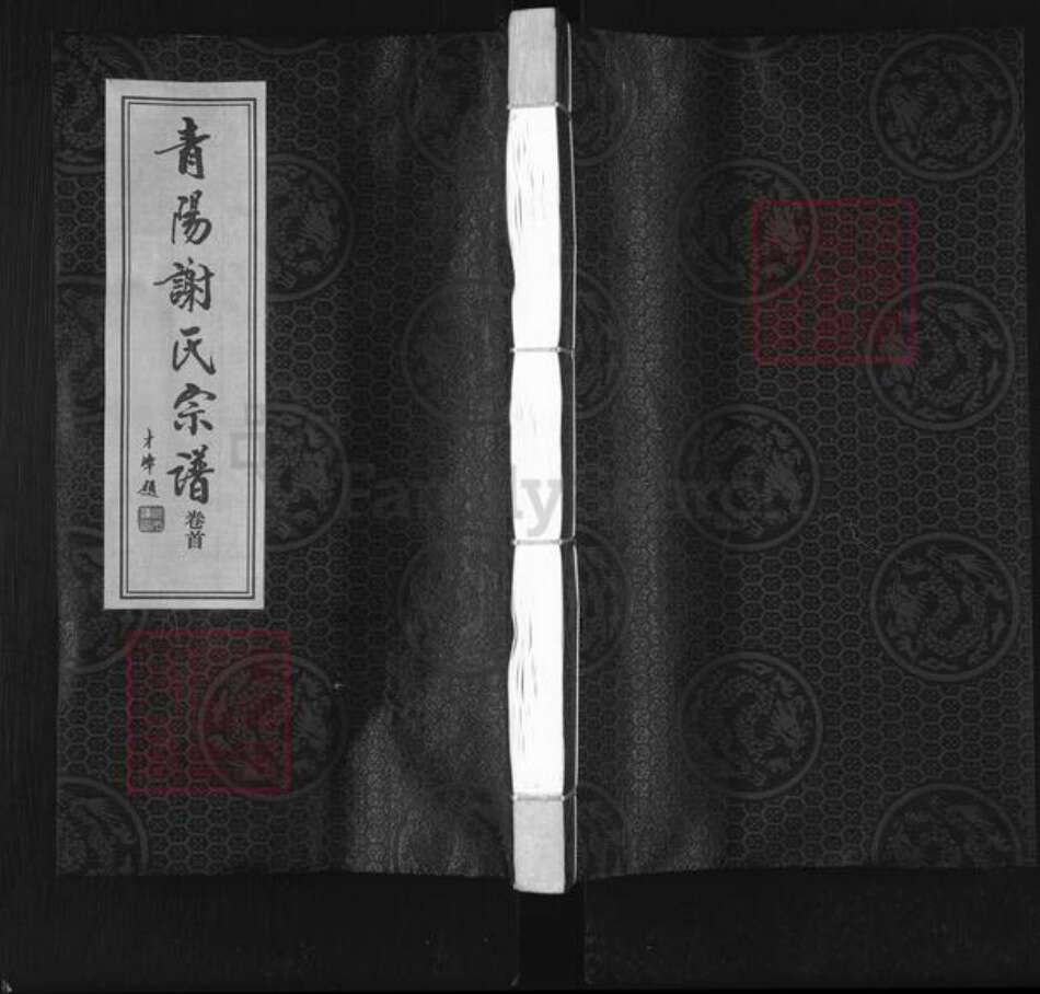 江苏省常州市新北区谢氏宝树堂族谱-青阳谢氏宗谱.pdf电子版缩略图