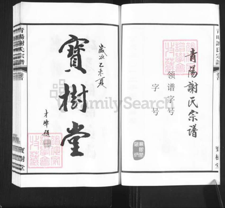 江苏省常州市新北区谢氏宝树堂族谱-青阳谢氏宗谱.pdf电子版预览图2