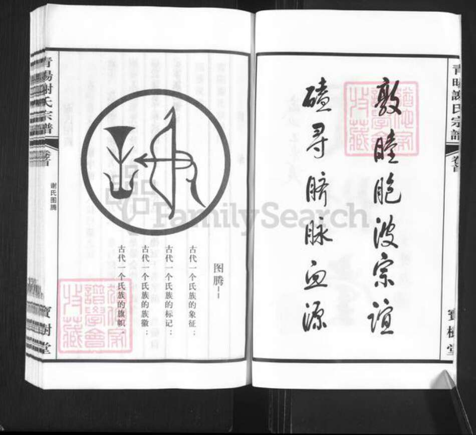 江苏省常州市新北区谢氏宝树堂族谱-青阳谢氏宗谱.pdf电子版预览图3