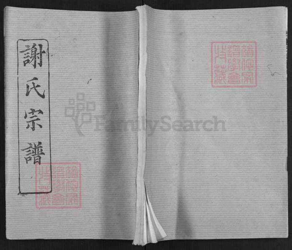 湖北省武汉市新洲区谢氏三傅堂族谱-谢氏宗谱.pdf电子版缩略图