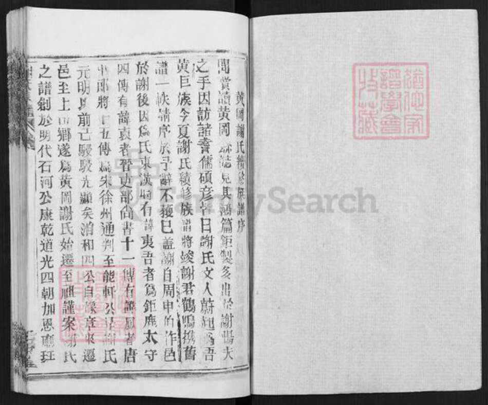 湖北省武汉市新洲区谢氏三傅堂族谱-谢氏宗谱.pdf电子版预览图1