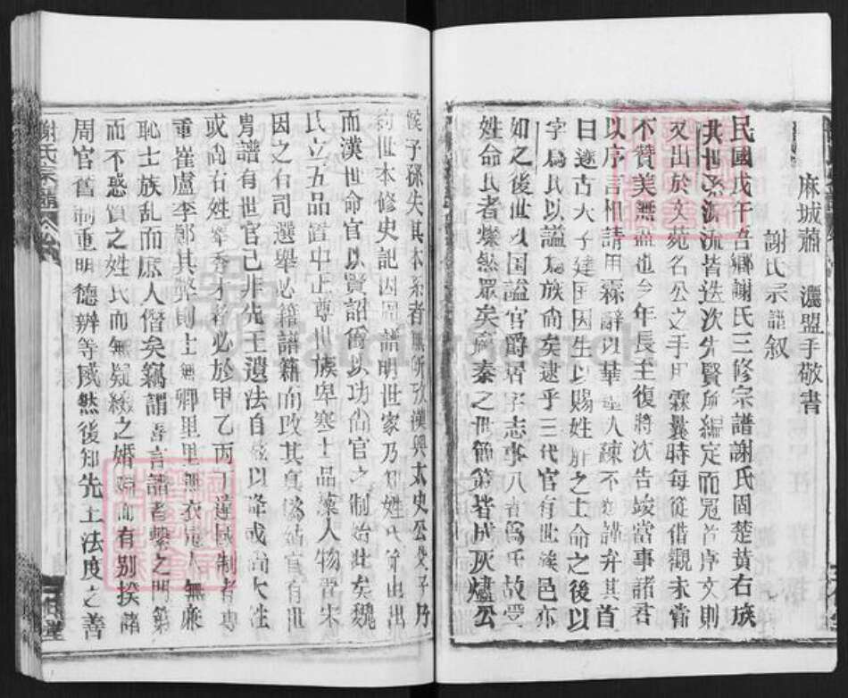 湖北省武汉市新洲区谢氏三傅堂族谱-谢氏宗谱.pdf电子版预览图3