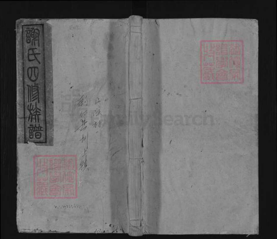 湖南省娄底市新化县谢氏式南堂族谱-谢氏四修族谱.pdf电子版缩略图