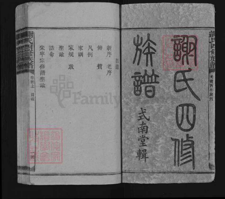 湖南省娄底市新化县谢氏式南堂族谱-谢氏四修族谱.pdf电子版预览图2