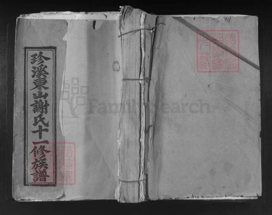 江西省赣州市宁都县黄陂镇谢氏族谱-珍溪东山谢氏十一修族谱.pdf电子版缩略图