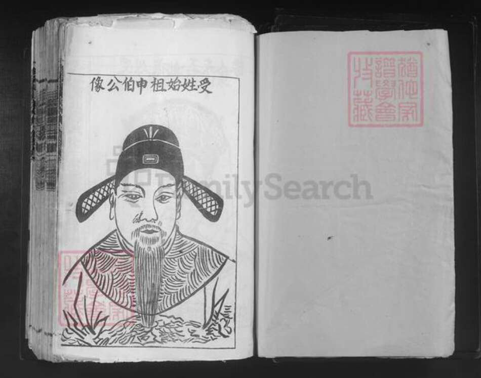 江西省赣州市宁都县黄陂镇谢氏族谱-珍溪东山谢氏十一修族谱.pdf电子版预览图1