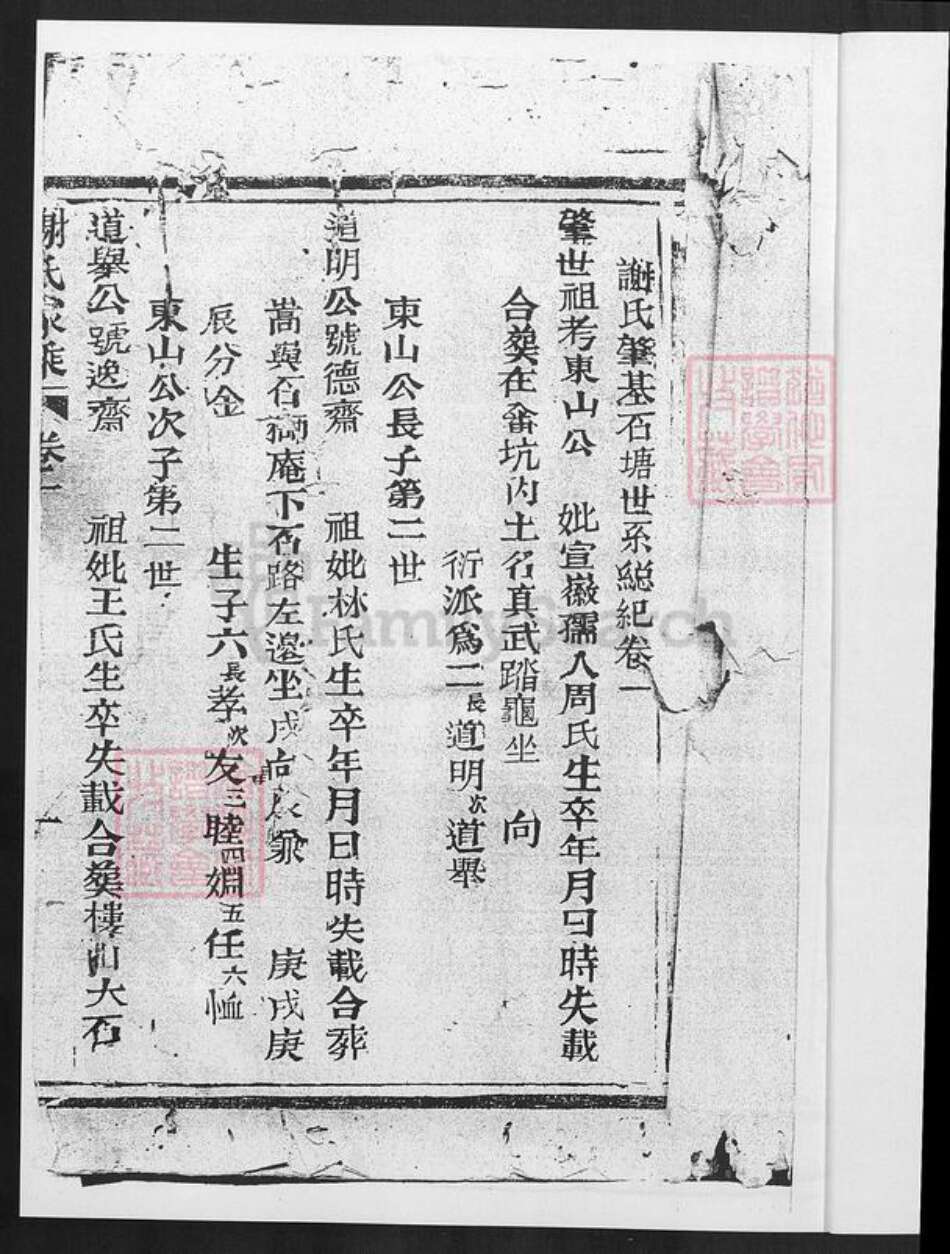 福建省厦门市海沧区谢氏族谱-石塘谢氏世谱.pdf电子版预览图2