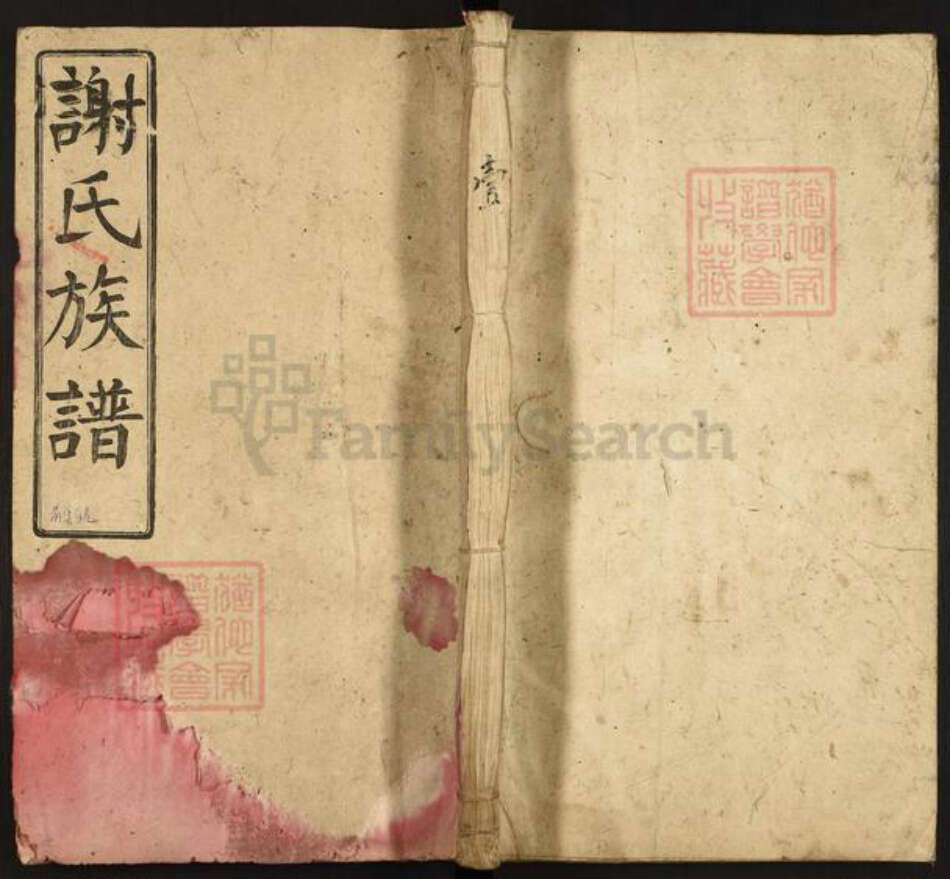 湖南省郴州市资兴市三都镇谢氏雅道堂族谱-谢氏族谱.pdf电子版缩略图