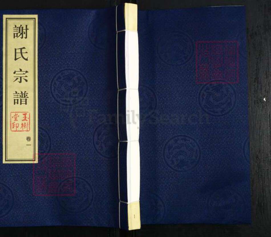 江苏省常州市新北区罗溪镇谢氏玉树堂族谱-谢氏宗谱.pdf电子版缩略图