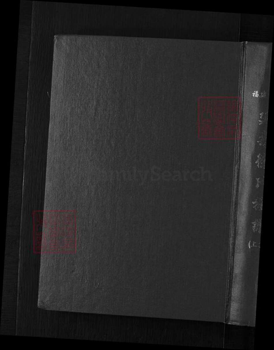 福建省莆田市城厢区徐氏族谱-福建莆田延寿徐氏族谱.pdf电子版缩略图