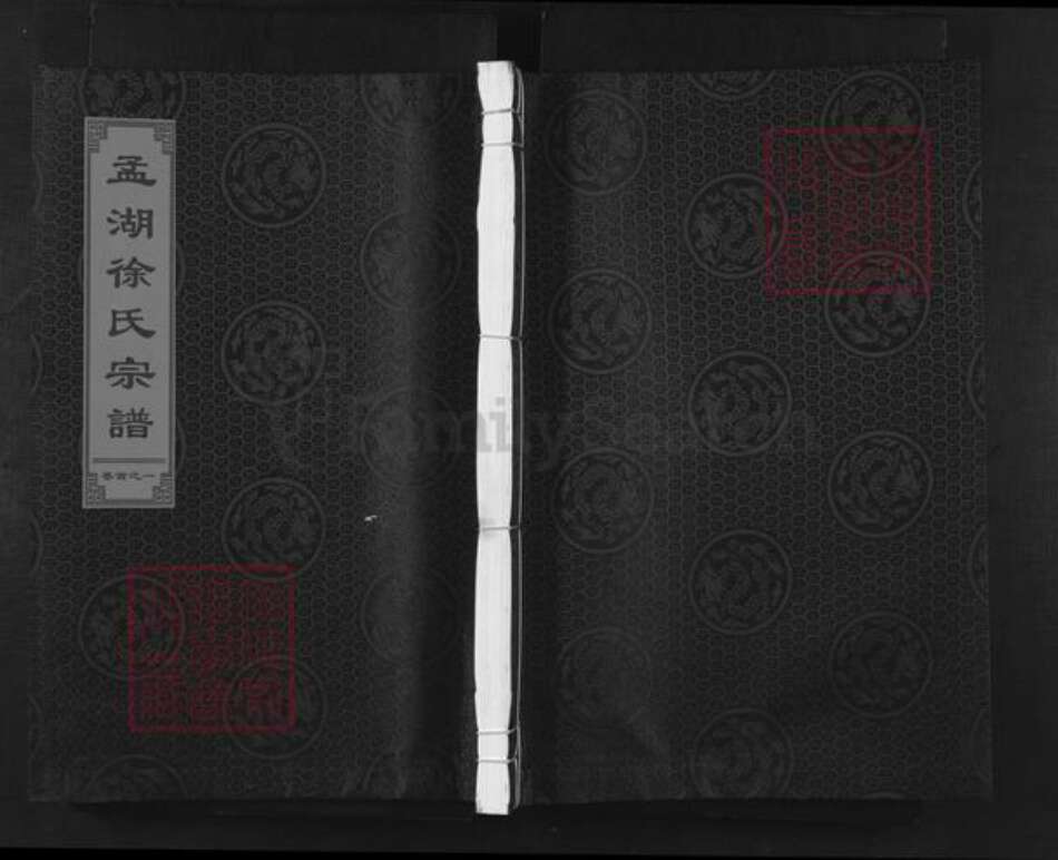 浙江省金华市兰溪市永昌街道徐氏孝伦堂族谱-孟湖徐氏宗谱.pdf电子版缩略图