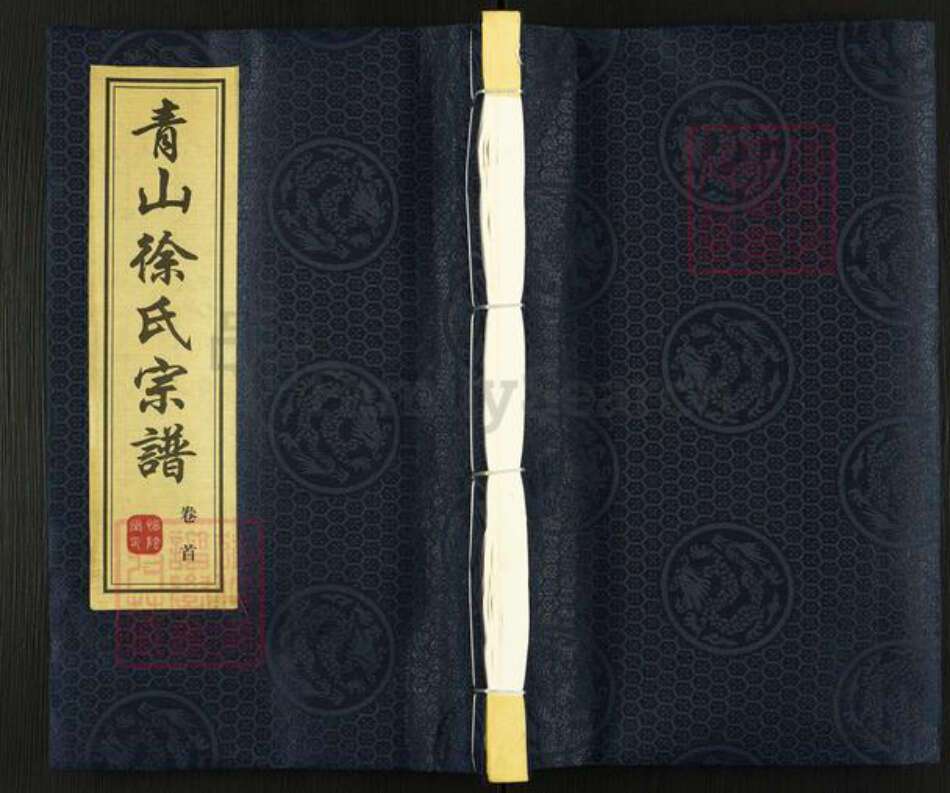 江苏省无锡市江阴市夏港街道徐氏惜阴堂族谱-青山徐氏宗谱.pdf电子版缩略图