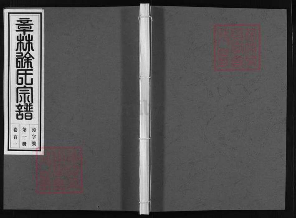 浙江省徐氏族谱-章林徐氏宗谱 [42卷,首6卷].pdf电子版缩略图