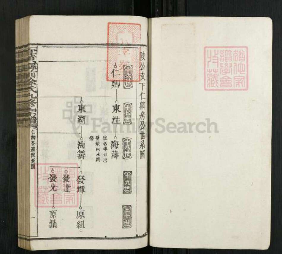 江西省抚州市宜黄县徐氏族谱-宜黄县前徐氏九修宗谱.pdf电子版预览图1