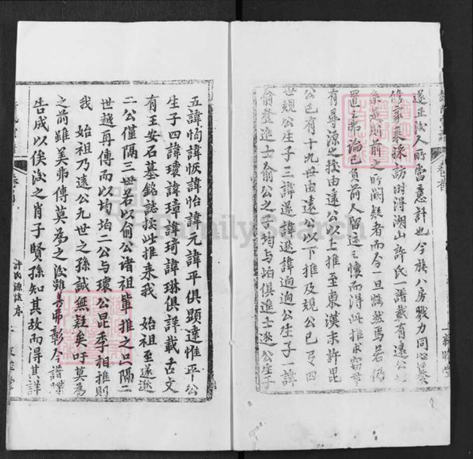 湖北省武汉市新洲区许氏敦睦堂族谱-许氏宗谱.pdf电子版预览图2