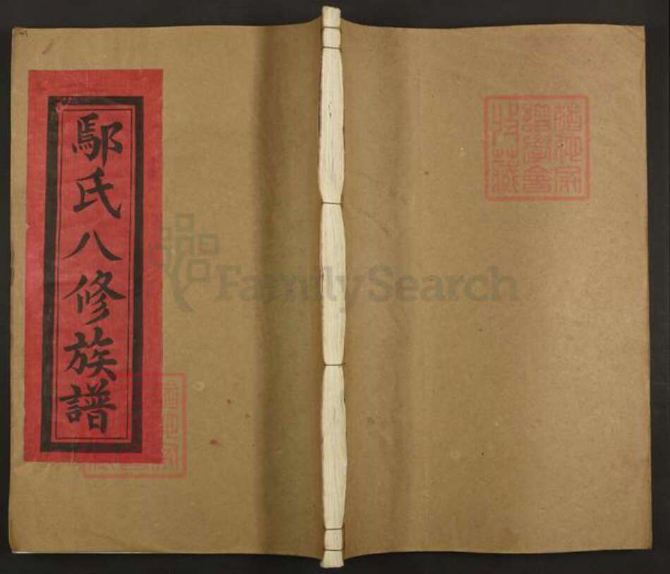 江西省宜春市丰城市尚庄街道鄢氏孝思堂族谱-鄢氏八修族谱.pdf电子版缩略图