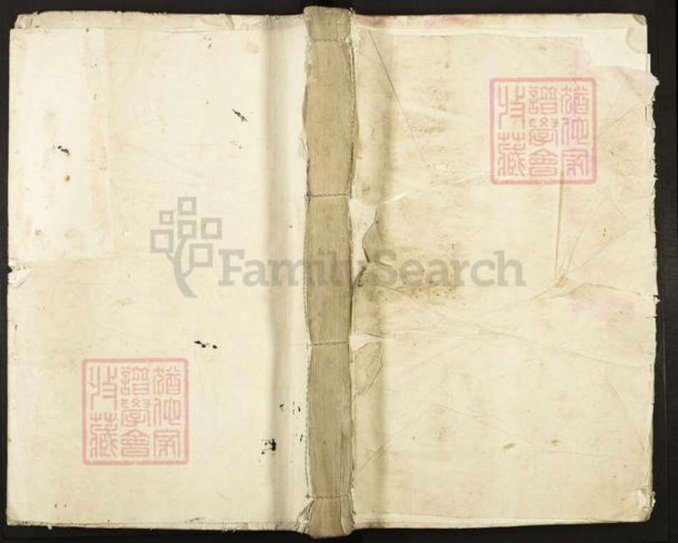 江西省吉安市泰和市严氏族谱-泰和城头严氏族谱.pdf电子版缩略图