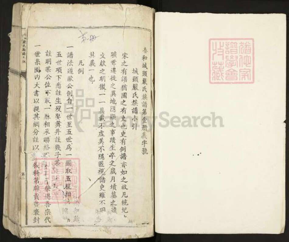 江西省吉安市泰和市严氏族谱-泰和城头严氏族谱.pdf电子版预览图1