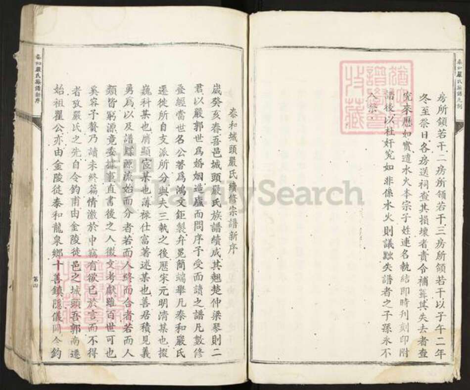 江西省吉安市泰和市严氏族谱-泰和城头严氏族谱.pdf电子版预览图4