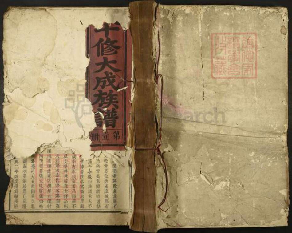 江西省赣州市宁都县洛口镇严氏族谱-严氏十修大成族谱.pdf电子版缩略图