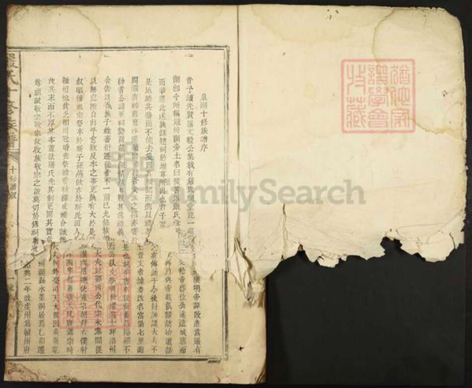 江西省赣州市宁都县洛口镇严氏族谱-严氏十修大成族谱.pdf电子版预览图1