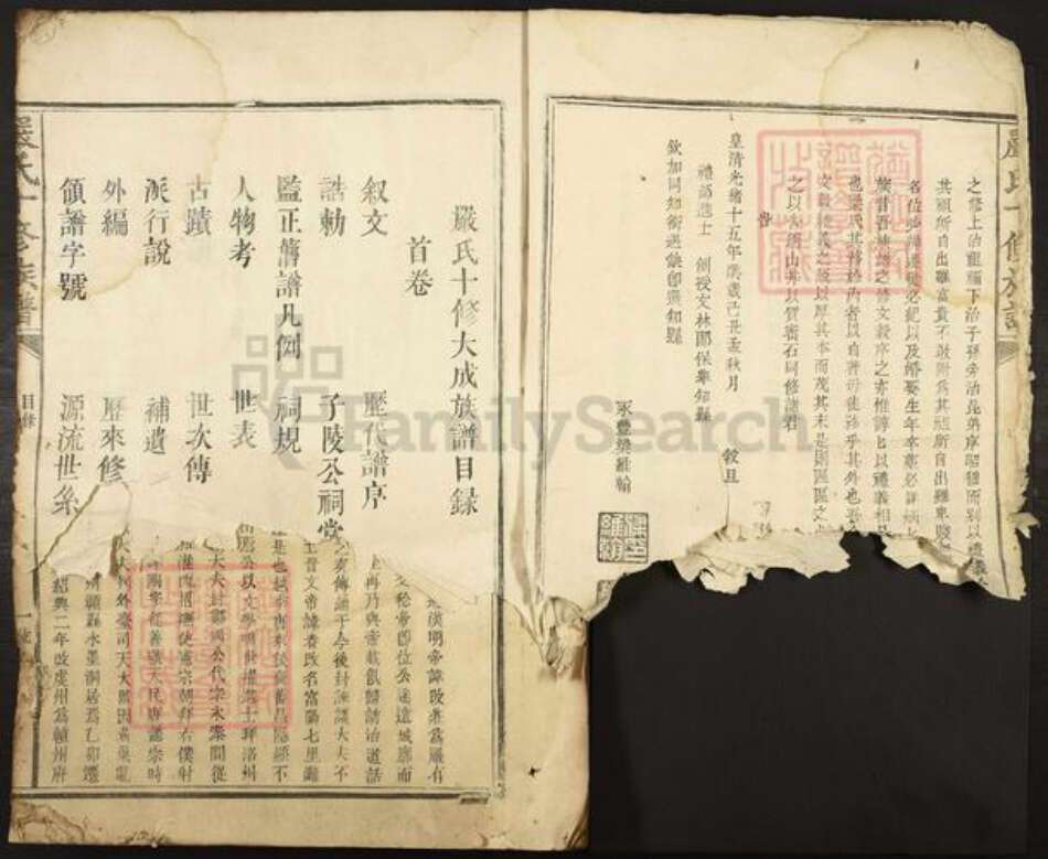 江西省赣州市宁都县洛口镇严氏族谱-严氏十修大成族谱.pdf电子版预览图2