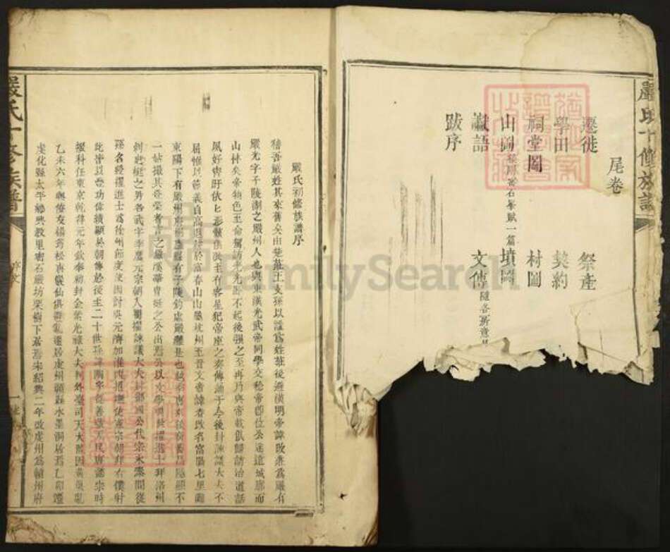 江西省赣州市宁都县洛口镇严氏族谱-严氏十修大成族谱.pdf电子版预览图3