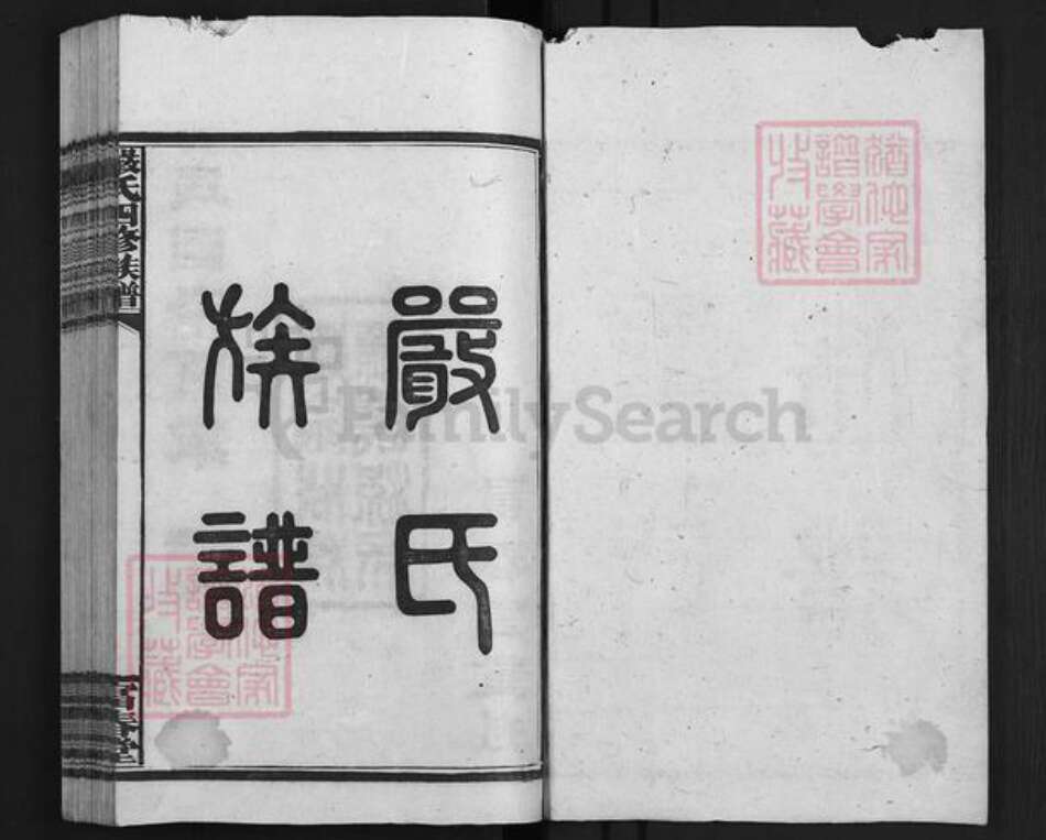 湖南省益阳市安化县梅城镇严氏富春堂族谱-安化严氏族谱.pdf电子版预览图1