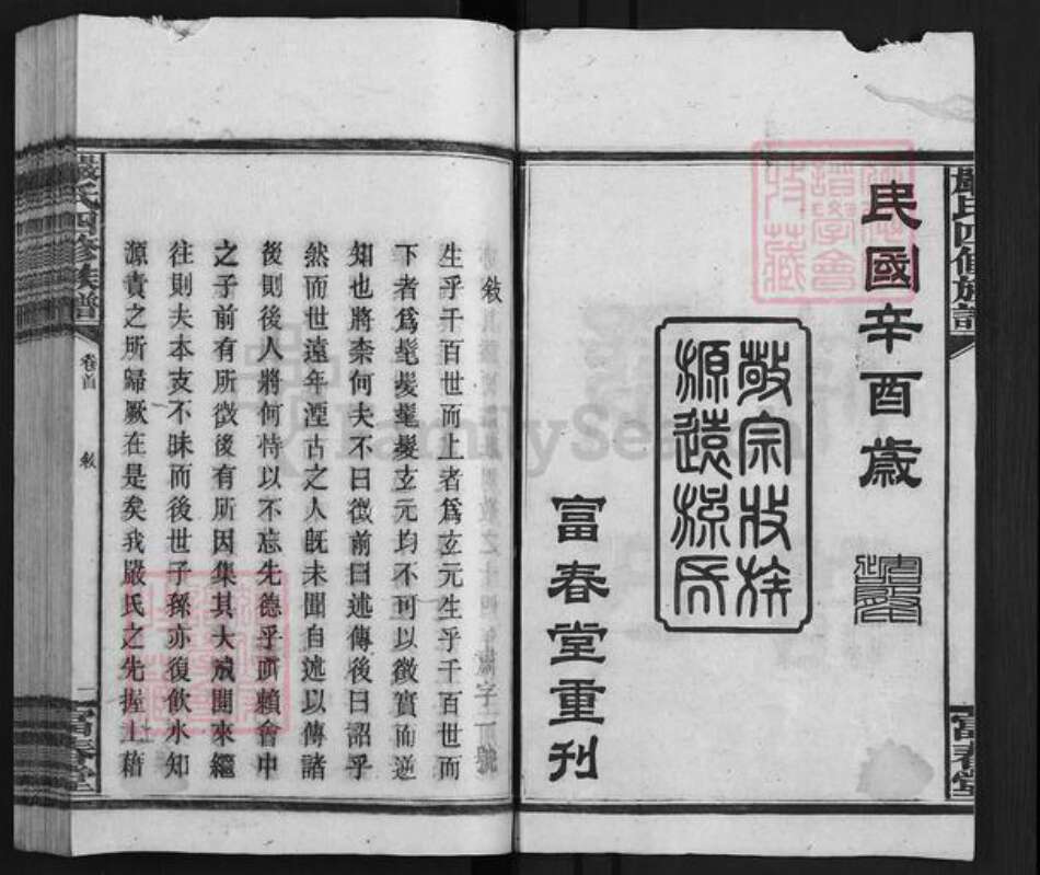 湖南省益阳市安化县梅城镇严氏富春堂族谱-安化严氏族谱.pdf电子版预览图2