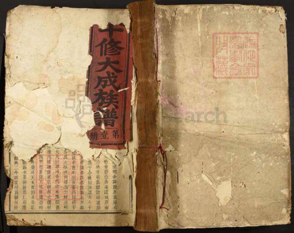 江西省赣州市宁都县严氏族谱-严氏十修族谱.pdf电子版缩略图