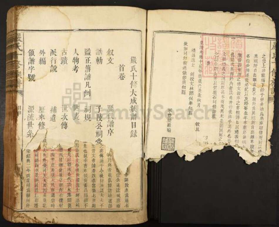 江西省赣州市宁都县严氏族谱-严氏十修族谱.pdf电子版预览图2