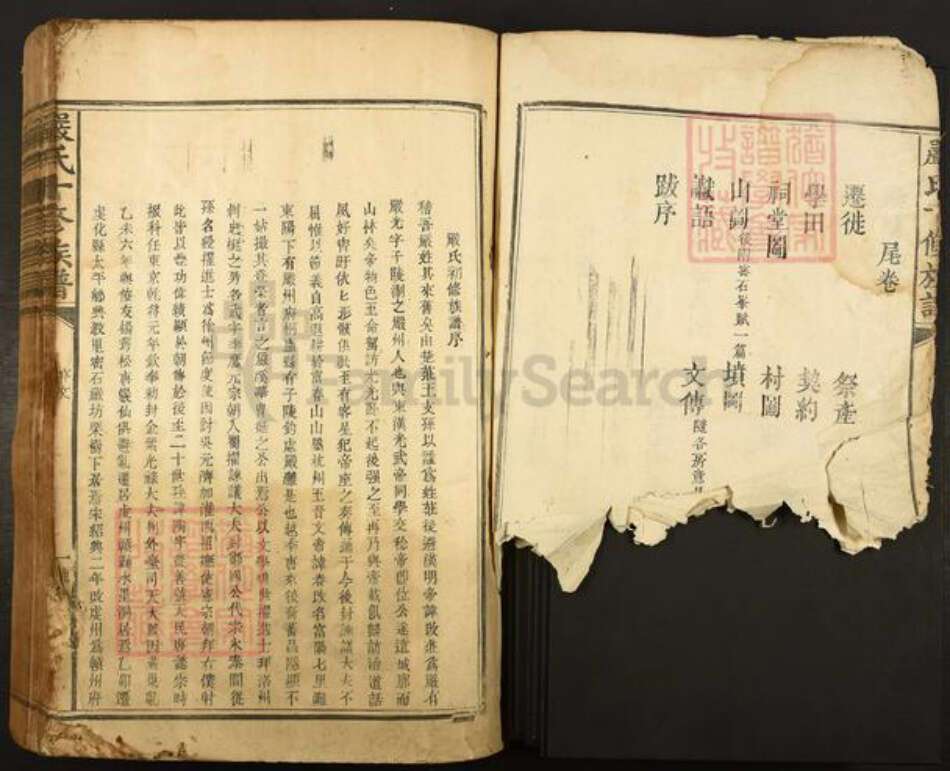 江西省赣州市宁都县严氏族谱-严氏十修族谱.pdf电子版预览图3