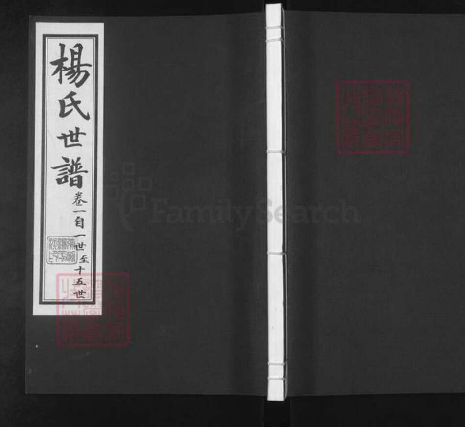 山东省滨州市邹平市杨氏族谱-杨氏世谱.pdf电子版缩略图