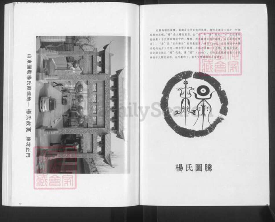 山东省滨州市邹平市杨氏族谱-杨氏世谱.pdf电子版预览图2