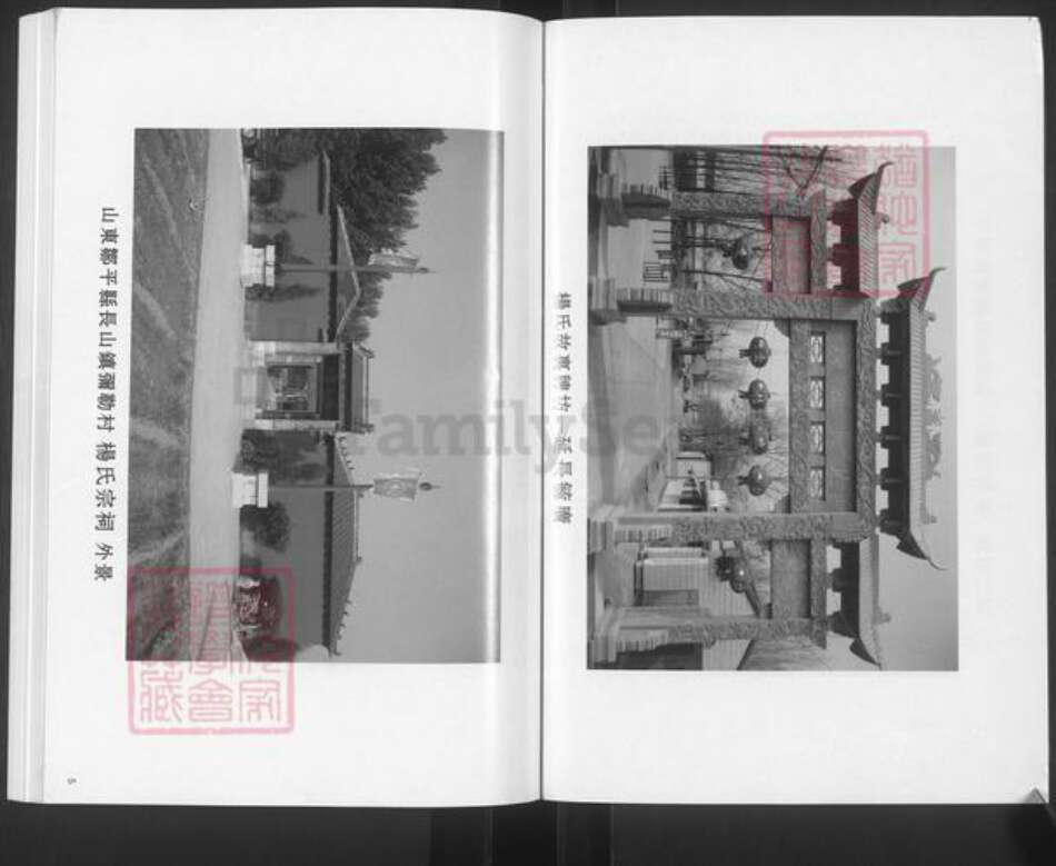 山东省滨州市邹平市杨氏族谱-杨氏世谱.pdf电子版预览图3